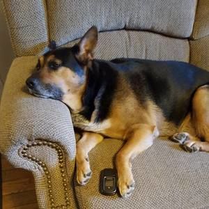 Meet your Posher, Jaci